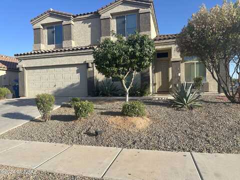 Melanitta, TUCSON, AZ 85757