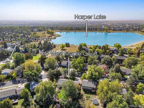 Maple, LOUISVILLE, CO 80027