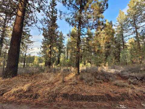 123456 Idle Hour Drive, Portola, CA 96122