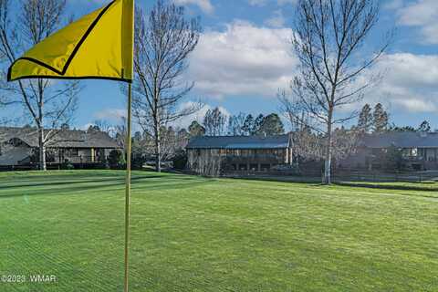 Bison Golf, SHOW LOW, AZ 85901