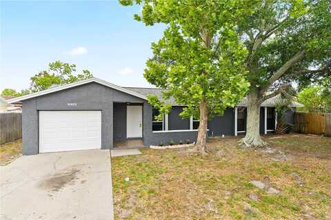 Hillport, TAMPA, FL 33615