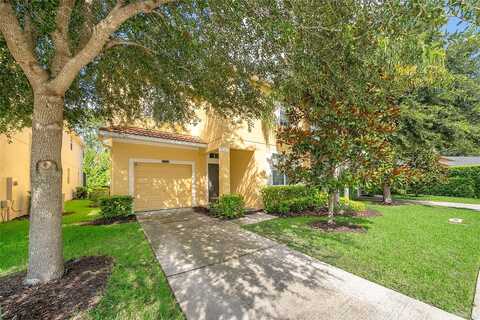 Bamboo Palm, KISSIMMEE, FL 34747