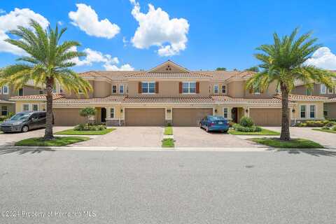 Terracina Lake, TAMPA, FL 33625