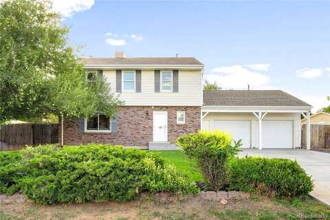 Yarrow, LITTLETON, CO 80128