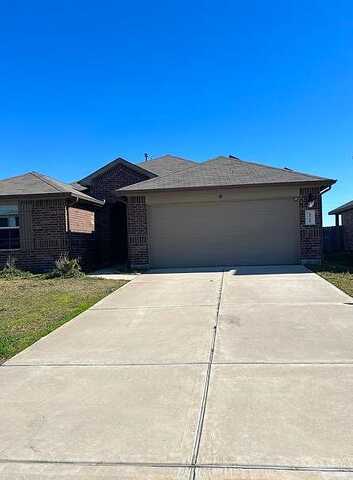Clear Mist, ROSHARON, TX 77583