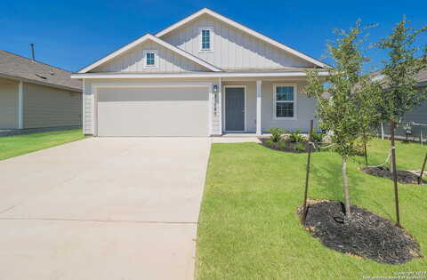 Saint Jerome, SEGUIN, TX 78155