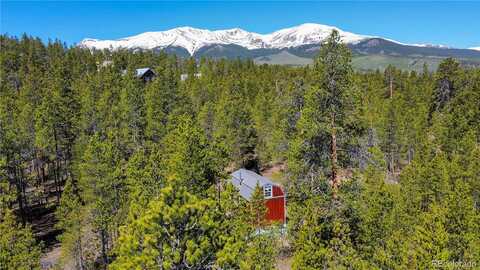 Birch, TWIN LAKES, CO 81251