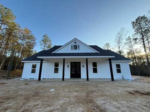 1114 West Union Rd, Carriere, MS 39426