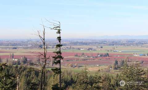 Pass, EVERSON, WA 98247