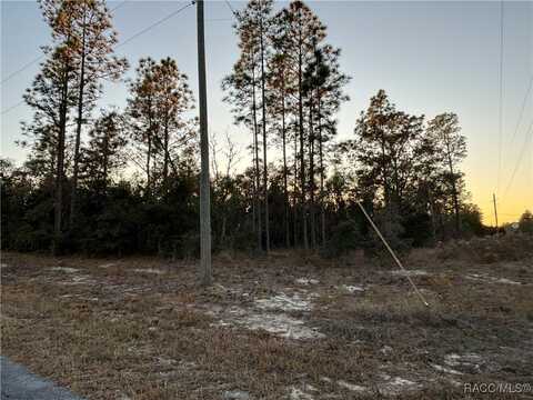 SW Sea Cliff Avenue, Dunnellon, FL 34431