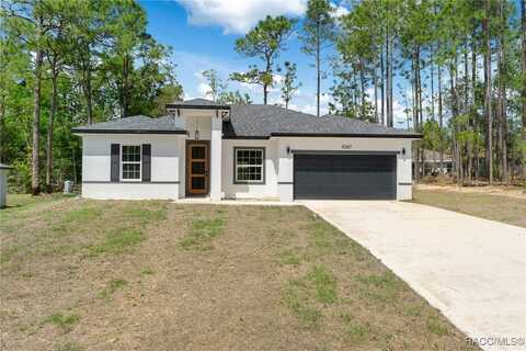 1067 W Cary Drive, Citrus Springs, FL 34434