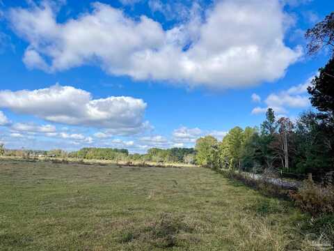 Tidwell, MILTON, FL 32571