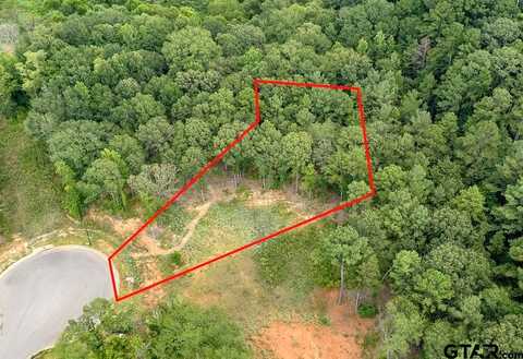 Caddo Ridge, TYLER, TX 75703