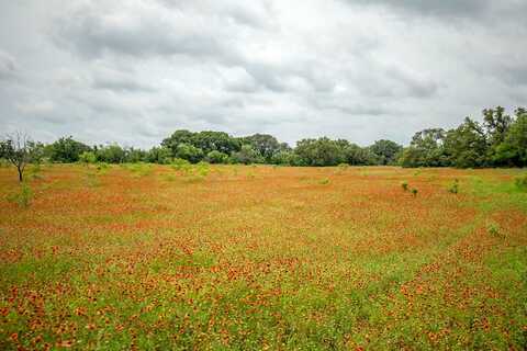 Tract 1 Tbd County Road 292, Early, TX 76802