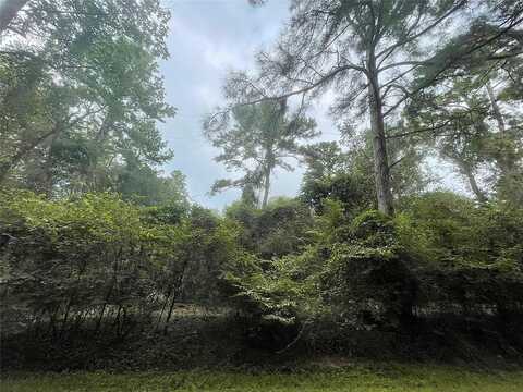 Corolla Road, Magnolia, TX 77354