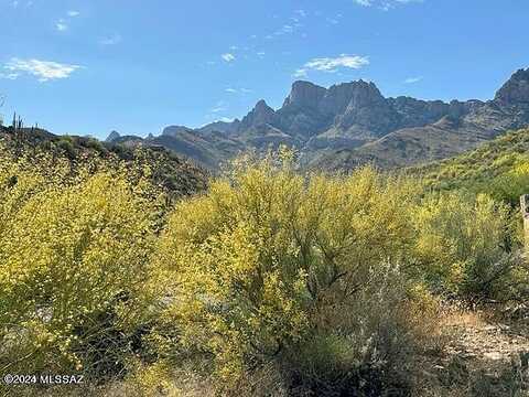 Address Withheld, Oro Valley, AZ 85737