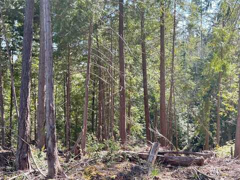 Lot 10 Whitney Road, Quilcene, WA 98376