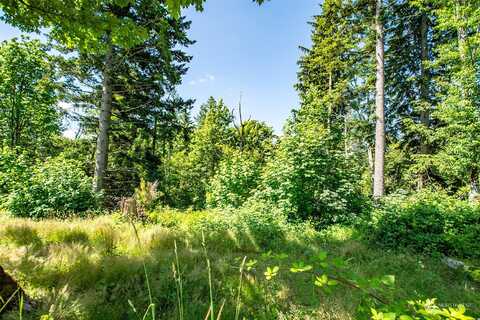 Xx 351St Avenue Se, Snoqualmie, WA 98065