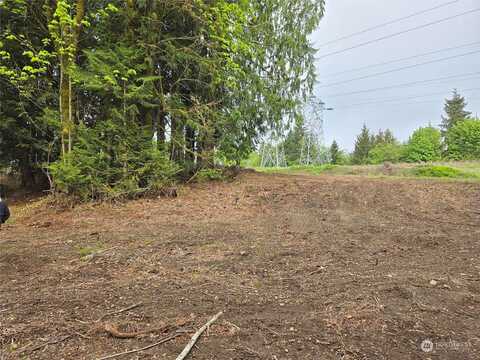 E Rasor Road, Belfair, WA 98528