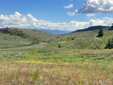 Tbd Ellemeham Mountain Road, Oroville, WA 98844