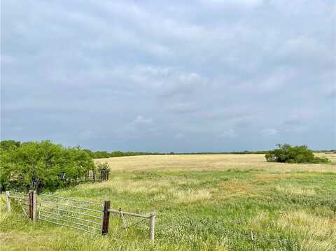 County Road 333, Beeville, TX 78102