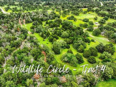 Tract 4 Wildlife Circle, Carmine, TX 78932