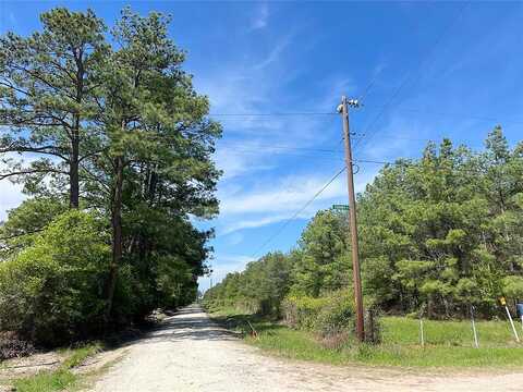 Tract 4 English Rd Road, Bedias, TX 77831