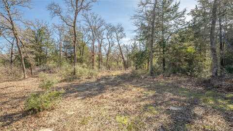 Tbd Pr 3221, Rockdale, TX 76567