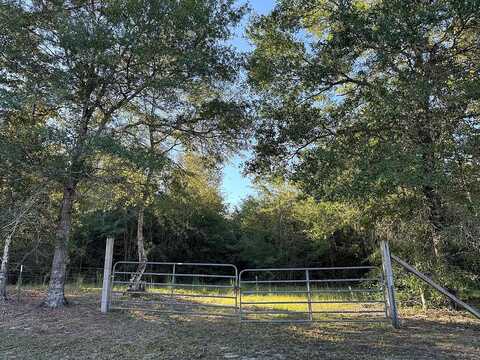 Tbd County Road 4770, Warren, TX 77664