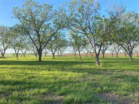 Tbd County Road 473 Riverwood Road, Gonzales, TX 78629