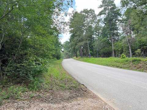 Tbd County Road 302, Plantersville, TX 77363