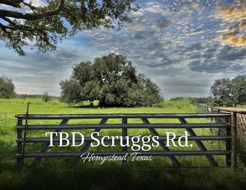 Tbd 0 Scruggs Road, Hempstead, TX 77445