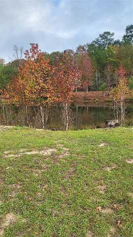 Runnels Road, Coldspring, TX 77331