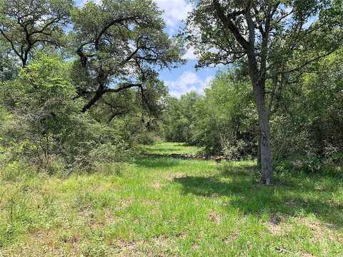 Private Road 1581, Hallettsville, TX 77964