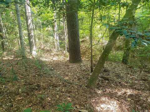 Off County Road 2777, Woodville, TX 75979