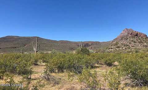 N Artesiano Road, Tucson, AZ 85743