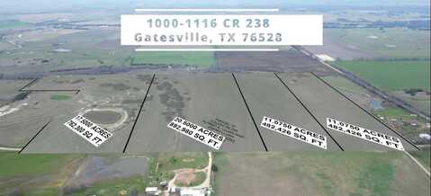 Lot 1 Cr 238, Gatesville, TX 76528