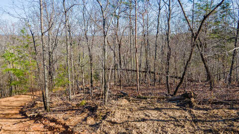 Lantern Ridge, Lot 110, Chickamauga, GA 30707