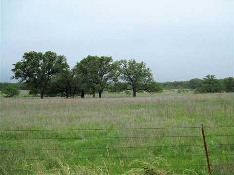 Address Withheld, Jacksboro, TX 76458