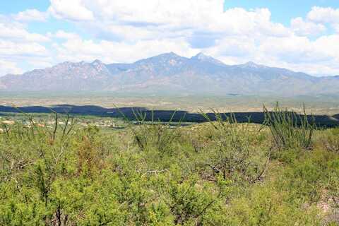 Avenida Terrel, Tubac, AZ 85646