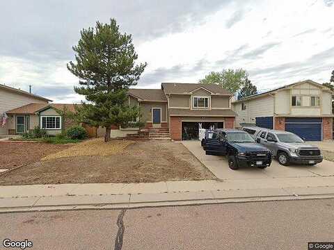 Lythrum, COLORADO SPRINGS, CO 80920