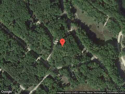 White Tail, STANWOOD, MI 49346
