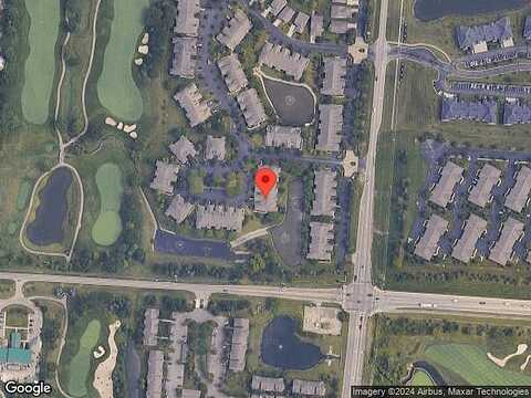 Verbena, LIBERTY TOWNSHIP, OH 45044