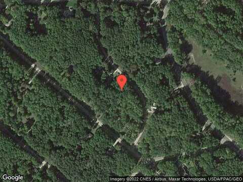 White Tail, STANWOOD, MI 49346