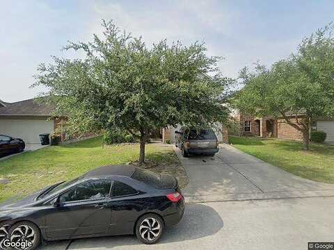 Golden Foliage, HUMBLE, TX 77338