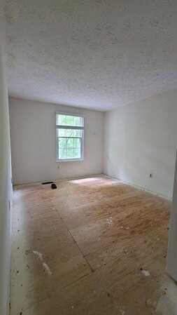 Tiffany Park, SPRINGFIELD, VA 22152