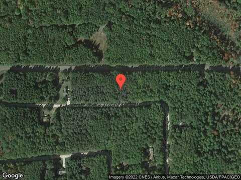 White Pine, STANWOOD, MI 49346