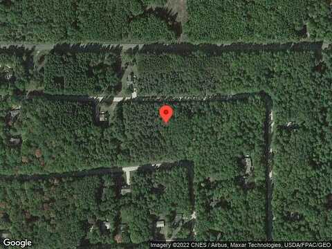 White Pine, STANWOOD, MI 49346