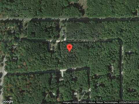 White Pine, STANWOOD, MI 49346