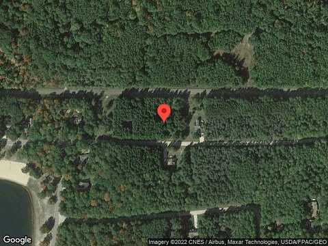 White Pine, STANWOOD, MI 49346